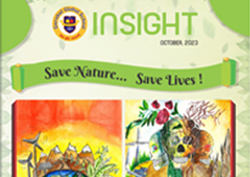 insights